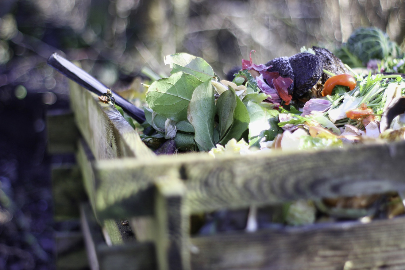 Vlastní kompost v bytě? Využít bioodpad je snadné